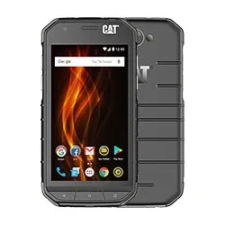 Cat S31