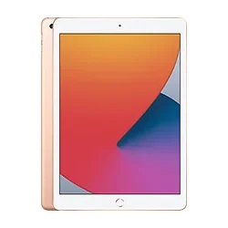 Apple iPad 10.2 (2020)