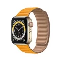 Apple Watch Series 6