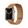 Apple Watch Series 7