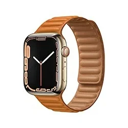 Apple Watch Series 7