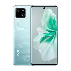 vivo V30